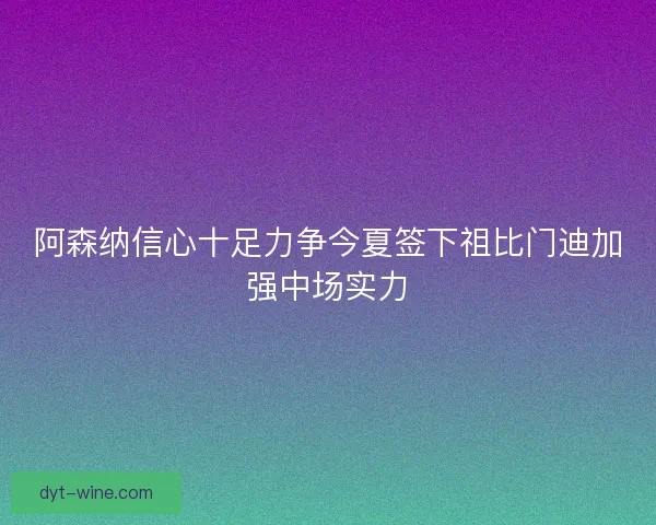 阿森纳信心十足力争今夏签下祖比门迪加强中场实力