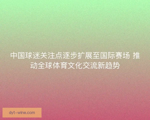 中国球迷关注点逐步扩展至国际赛场 推动全球体育文化交流新趋势